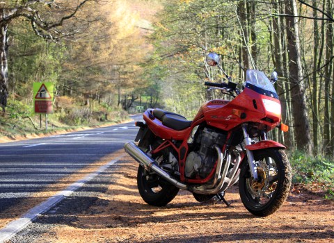 Bike Exif Competition